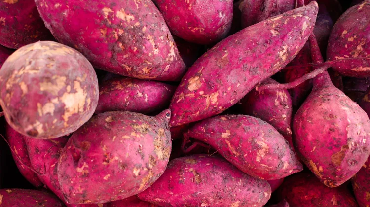 Ubi Ungu Menjaga Berat Badan Ideal