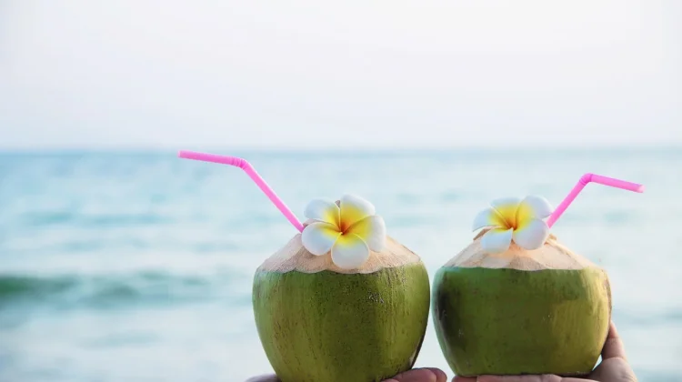 Air Kelapa Muda Baik untuk Demam, Mitos atau Fakta?