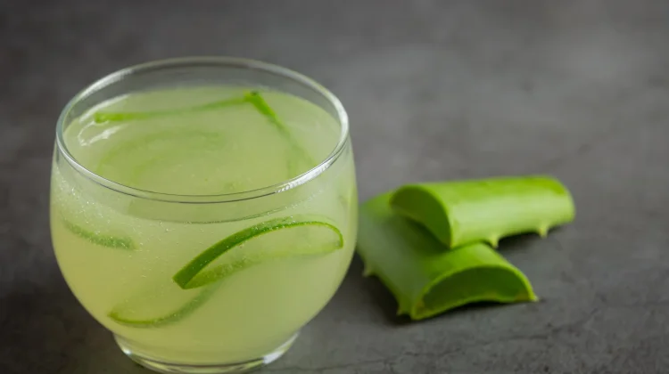 Jus Lidah Buaya Pembersih Usus untuk Menjaga Kesehatan Pencernaan
