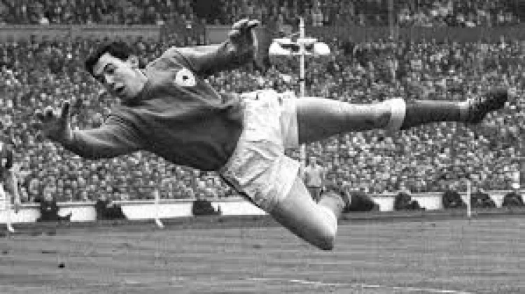 Sarung Tangan Kiper Pertama di Dunia