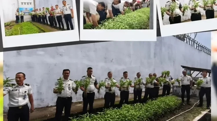 Lapas Gunungsitoli Panen Kangkung 50 Kg sebagai Wujud Ketahanan Pangan