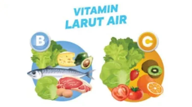 Vitamin yang Larut dalam Air