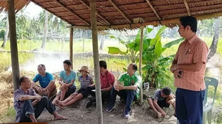 Tingkatkan Produktivitas, Kepala DKPP Nias Barat Lakukan Kunjungan ke Sawah