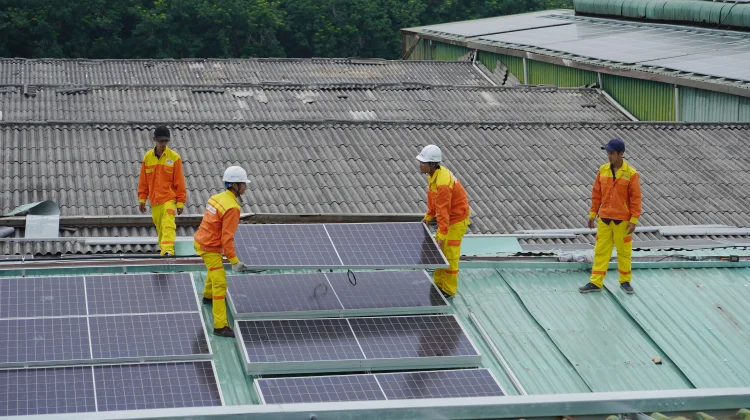 Panel Surya Semakin Dilirik sebagai Sumber Energi