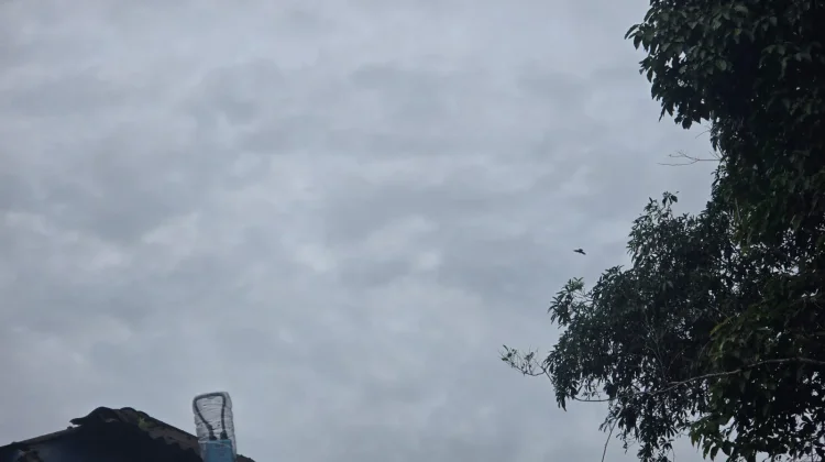Prakiraan Cuaca Hari Ini Kepulauan Nias, Siang-Sore Potensi Hujan Sedang