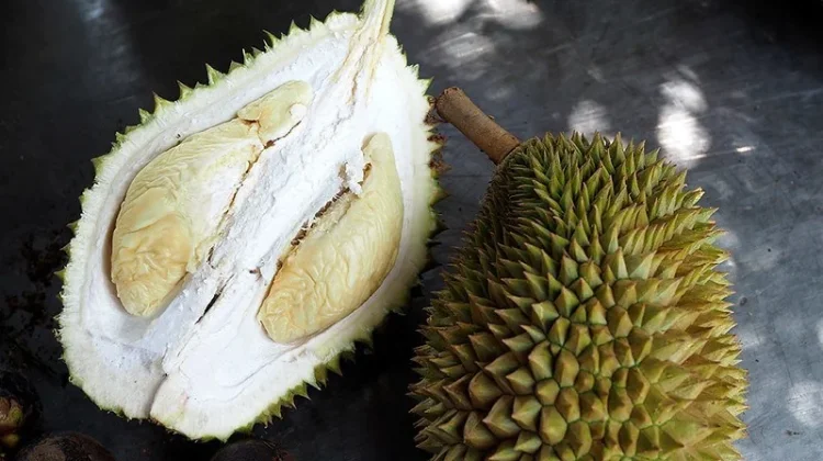 Manfaat Durian bagi Kesehatan