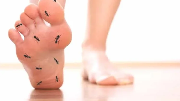 Penyebab Kesemutan di Kaki