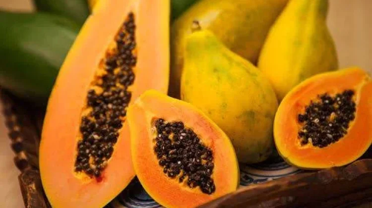 Manfaat Buah Pepaya untuk Kesehatan