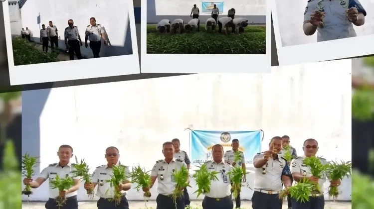 Program Budidaya Tanaman Kangkung Berbuah Panen Raya di Lapas Gunungsitoli