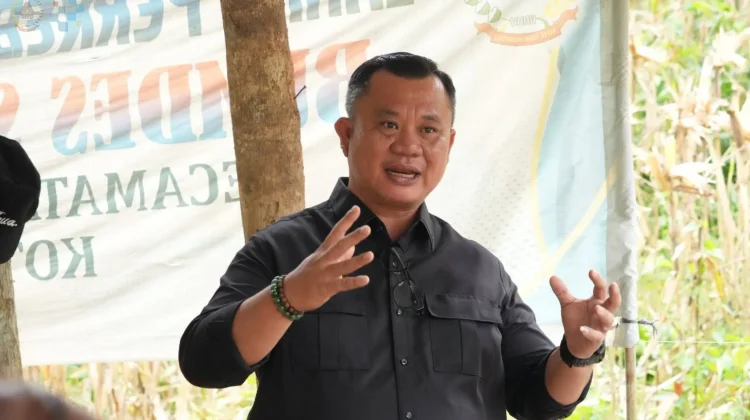 Jagung Hibrida BUMDes Sowua Panen, Wali Kota Beri Apresiasi