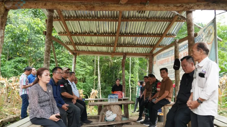 Jagung Hibrida BUMDes Sowua Panen, Wali Kota Beri Apresiasi