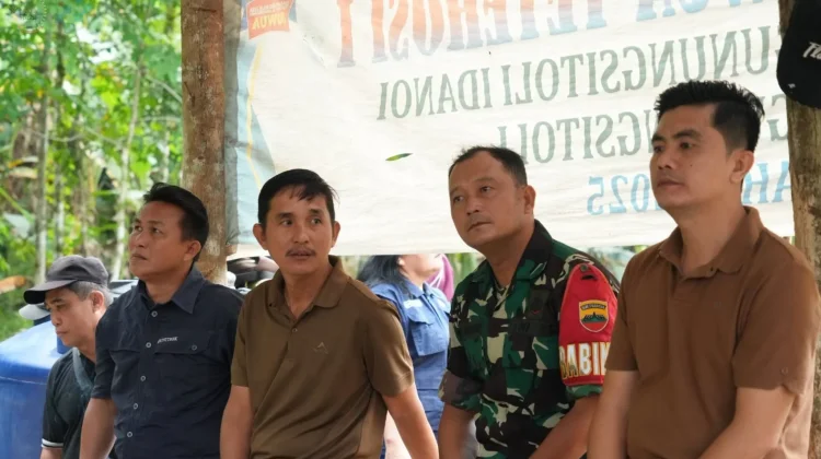 Jagung Hibrida BUMDes Sowua Panen, Wali Kota Beri Apresiasi
