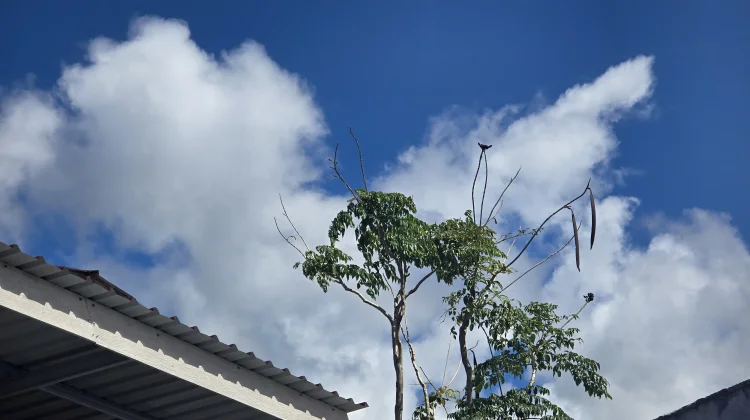 BMKG Gunungsitoli Prakirakan Cuaca Kepulauan Nias Berawan Dengan Potensi Hujan