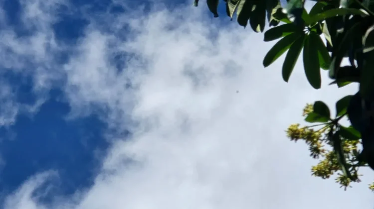 Prakiraan Cuaca Pulau Nias 27 Juli 2026