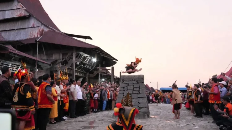 Lompat Batu Nias Sarat Nilai Sejarah dan Filosofi