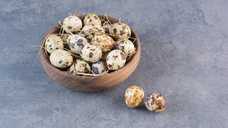 Telur Puyuh, Mencukupi Asupan Nutrisi Tubuh