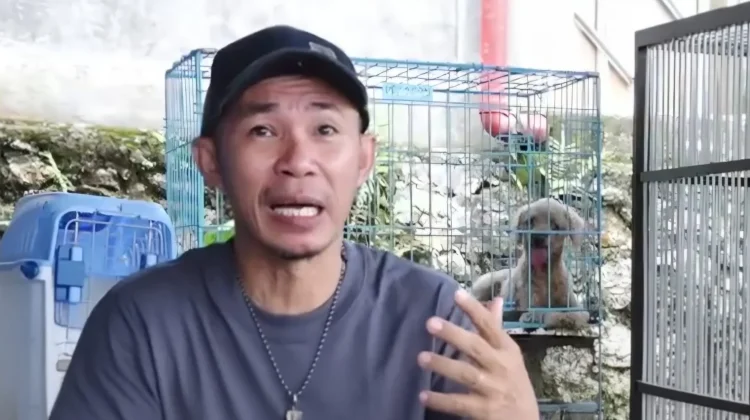 Tarif Penitipan Hewan Peliharaan di Ziezie Pethome, Full Kasih Sayang