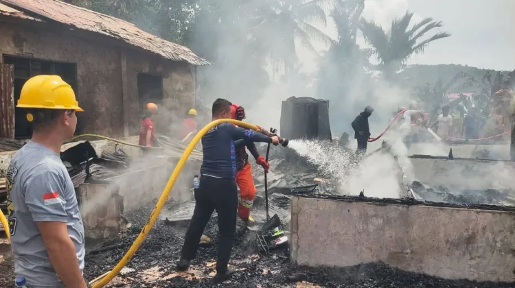 Si Jago Merah Beraksi di Dusun II Desa Mudik, Kerumunan Warga Jadi Tantangan