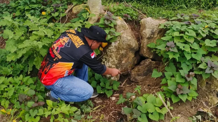 Personil Damkarmat Telusuri Ular Sanca di Area Breakwater Taman Ya'ahowu