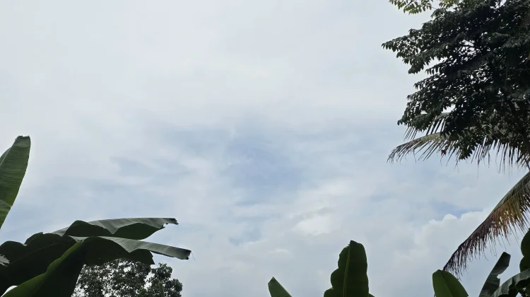 Prakiraan Cuaca Kepulauan Nias Hari Pertama Bulan Agustus
