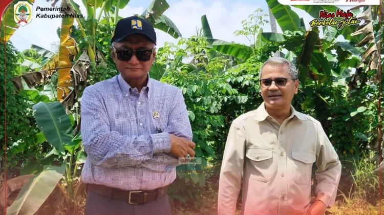Kehadiran Menteri PU Diharapkan Percepat Penanganan Jalan Nasional di Kab. Nias