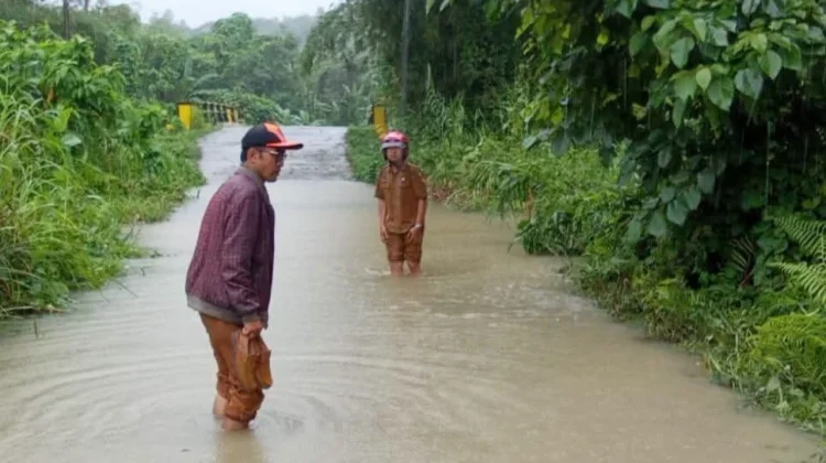 Banjir Rendam Ruas Jalan dan Sawah di Mandrehe Barat