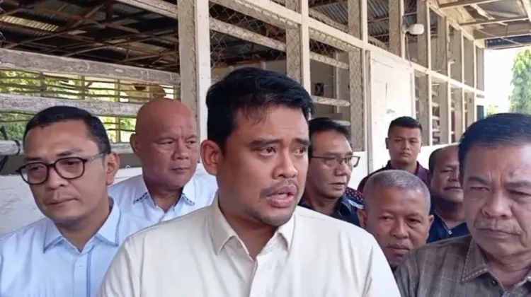 Sekolah Gratis di Nias, Pemprov Sumut Sebut Anggaran Tetap untuk Sekolah