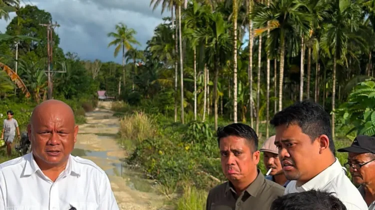 Tinjau Ring Road Nias Utara-Nias Barat, Gubsu: Perencanaan Pembangunan Dimulai 2027