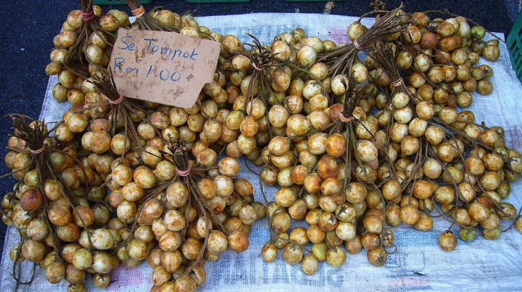 Menjaga Buah Lokal Tetap Eksis, Salah Satunya lewat Rambai