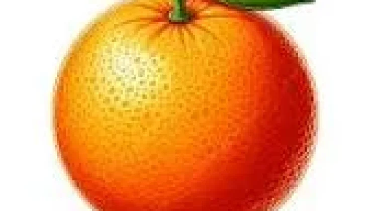 Buah Jeruk Bisa di Konsumsi Penderita Penyakit Asam Lambung, tapi Ada Syaratnya