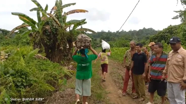 Jalan Rusak, Hasil Bumi Warga Umbubalodano Nias Utara Sulit Dipasarkan
