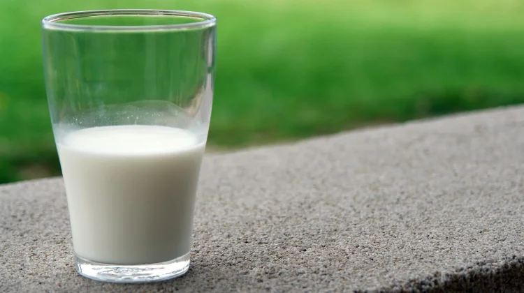 Manfaat Susu Kambing untuk Kesehatan