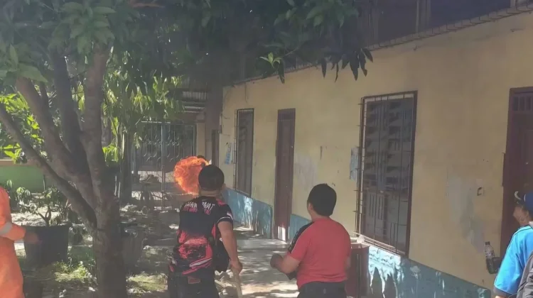 Mengancam Pelajar, Sarang Lebah di SMP Bunga Mawar Dievakuasi oleh Damkarmat