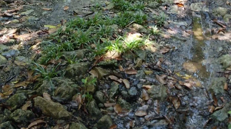 Alokasi Rp15 Miliar, Bangun Jalan Hilimbowo Tetehosi Maziaya - Sisarahili Namohalu