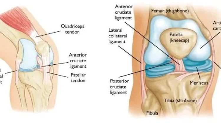 Cedera Ligamen Itu Apa Sebenarnya