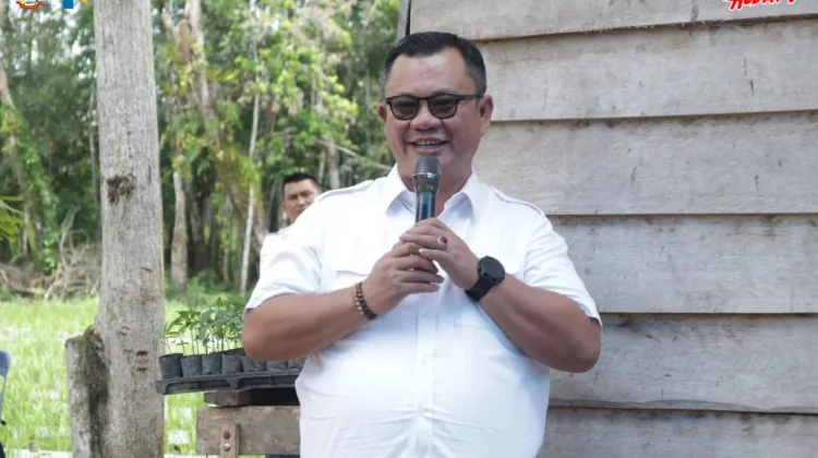 Wali Kota Tanam Cabai Perdana, Pemko Perkuat Kedaulatan Pangan