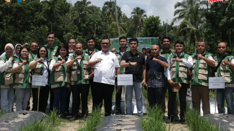 Wali Kota Tanam Cabai Perdana, Pemko Perkuat Kedaulatan Pangan