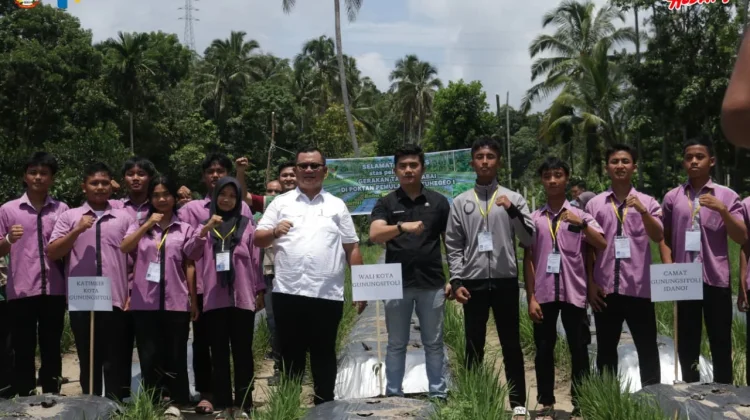 Wali Kota Tanam Cabai Perdana, Pemko Perkuat Kedaulatan Pangan