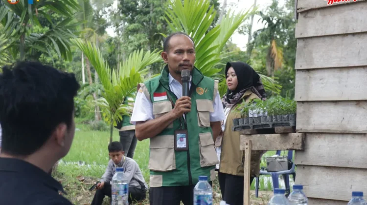 Wali Kota Tanam Cabai Perdana, Pemko Perkuat Kedaulatan Pangan