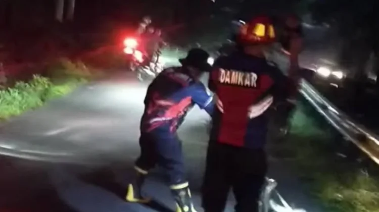 Damkarmat Gusit Evakuasi Ular Sanca di Jalan Desa Dahana Gawu- Gawu