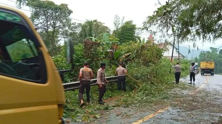 Hujan Deras, Pohon Tumbang Tutup Jalan di Idanogawo