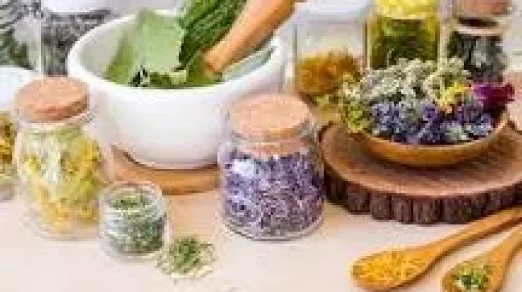 Cara Membuat Obat Alami Mudah Anti Ribet Dirumah