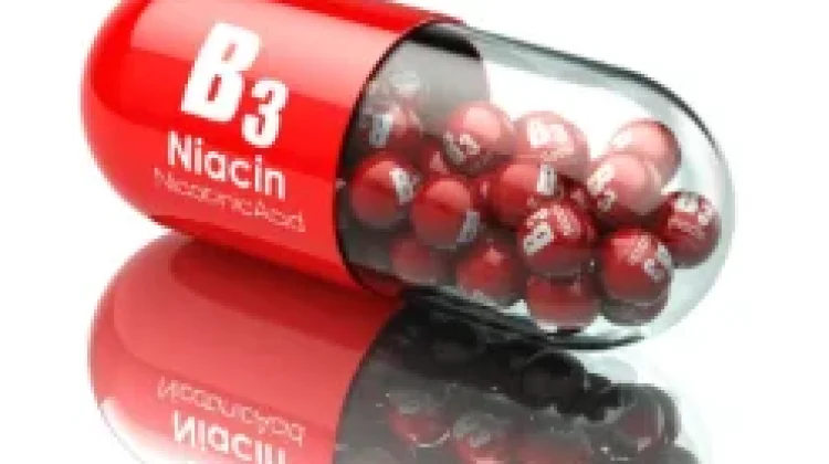Sumber Vitamin B3 (Niasin) untuk Kesehatan Tubuh