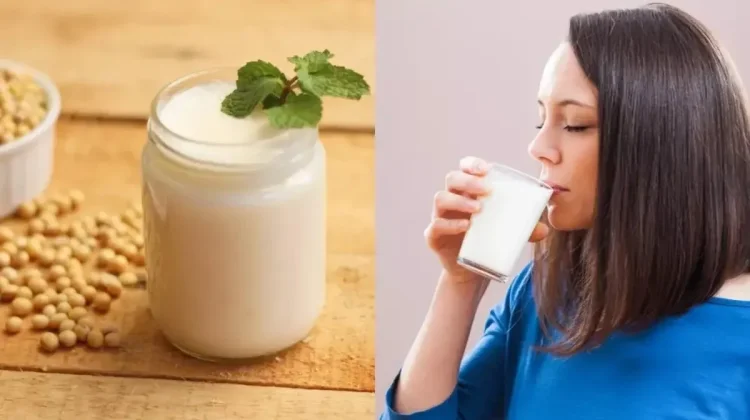 Manfaat Susu Kedelai yang Baik untuk Kesehatan
