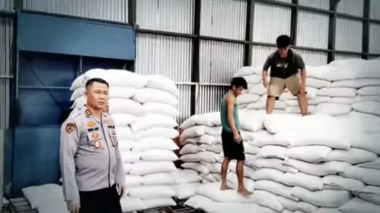 Polres Nias Kawal Distribusi 15 Ton Jagung Petani ke Gudang Bulog