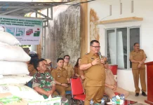 Pemkot Gunungsitoli Serahkan Bantuan kepada Kelompok Tani
