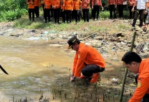 Rayakan HUT Ke-54, Basarnas Nias Tanam Mangrove