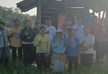 DKPP Nias Barat Terus Berupaya Tingkatkan Produktivitas Pangan