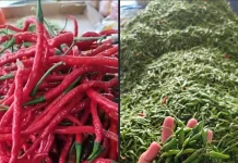 Harga Cabe dan Sayur Terpantau Stabil di Pasar Tardisional Gunungsitoli