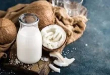 Ini Batas Aman Konsumsi Santan Agar Tetap Sehat